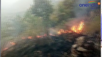 தேனி காட்டுத்தீயில் சிக்கிய மாணவிகளை மீட்கும் பனி தீவிரம்