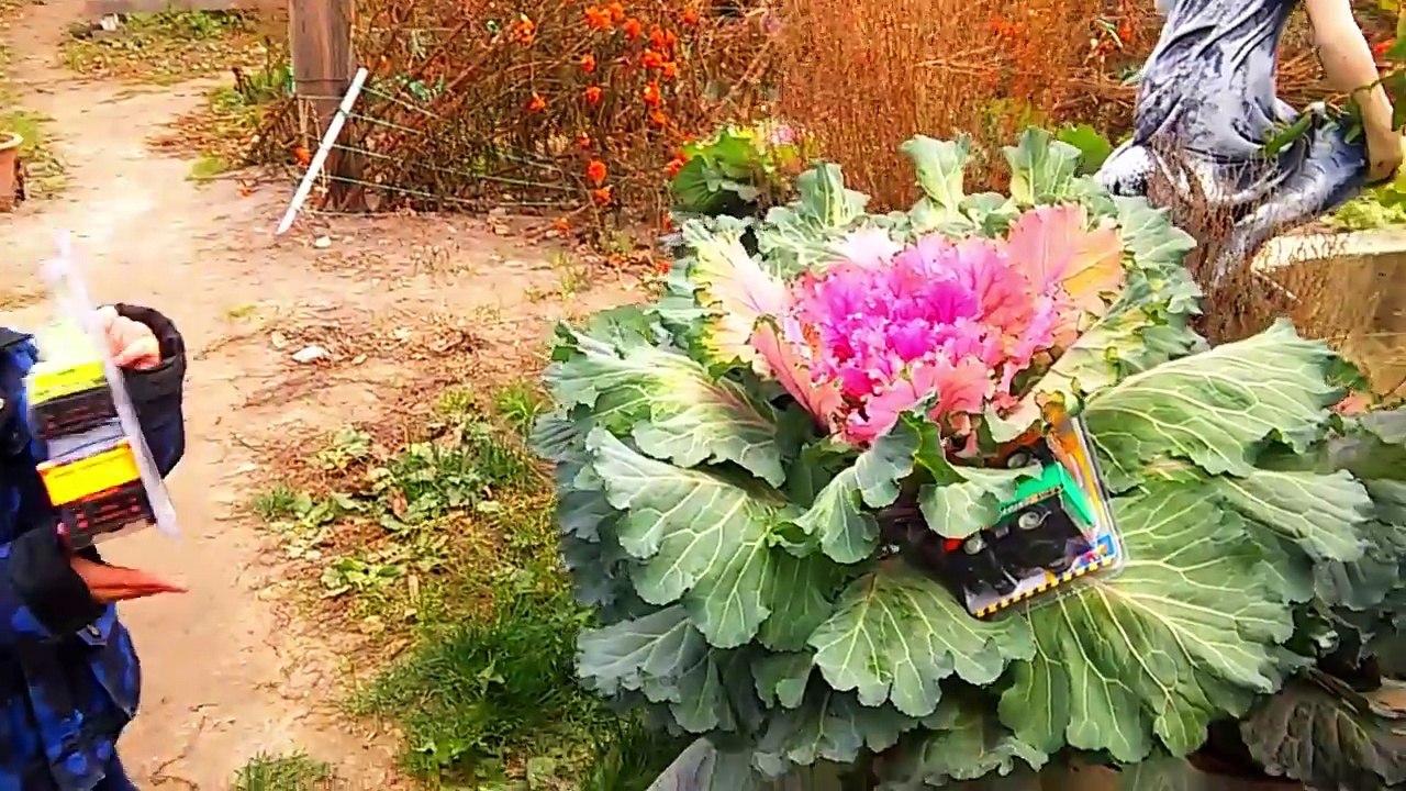 ✔Arabalar çizgi film. Eğitici çizgi film çocuklar için. Çizgi film pro harici no.109✔