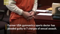 Former US gymnastics doctor pleads guilty to sex charges, faces 25 years