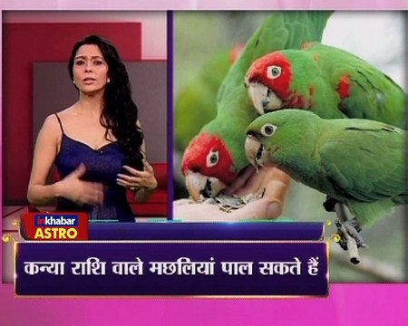 Astro Gharelu Nuskhe | आपका PET बदल देगा आपका भाग्य | Dr. Jai Madaan | InKhabar Astro