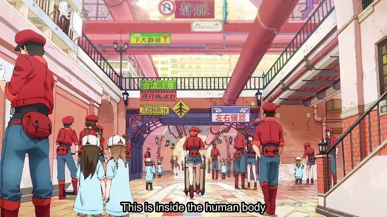 Cells At Work