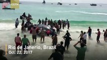 Beachgoers rescue beached humpback whale in Brazil