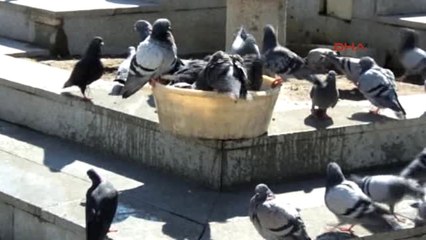 Balıkesir Burhaniye'de Deniz Sezonu Açıldı