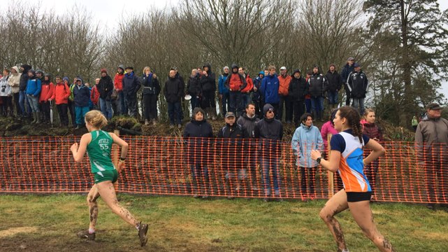 Championnats de France de cross-country à Plouay