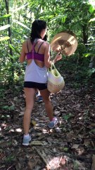 Hiking to the TOP of bawah island | Anthony S Casey Singapore