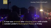 Man held after attacking police outside Buckingham Palace