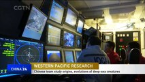 Chinese team studies origins, evolution of deep-sea creatures
