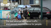 Rain wreaks havoc in NE China
