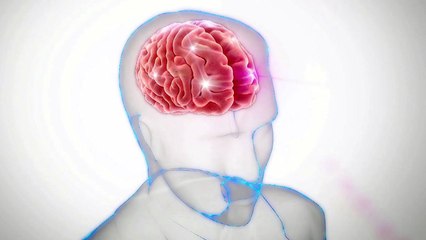 온도 감각 처리하는 새로운 두뇌 영역 찾았다 / YTN