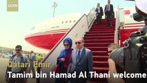 Turkish president arrives in Qatar amid ongoing Gulf dispute
