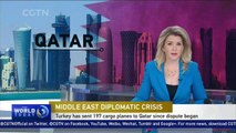 More Turkish troops arrive in Qatar