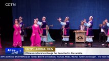 Chinese cultural exchange fair arrives in historic Egyptian city