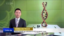 China-US trade: China speeds up evaluation of US transgenic crops