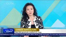 China approves imports of GM crops from US