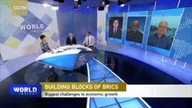 BRICS panel: Deepening cooperation amid global slowdown