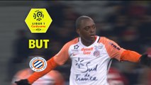 But Jérôme ROUSSILLON (64ème) / LOSC - Montpellier Hérault SC - (1-1) - (LOSC-MHSC) / 2017-18
