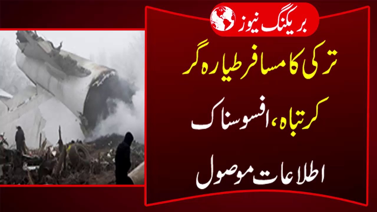 Private Turkish plane crashes in Iran