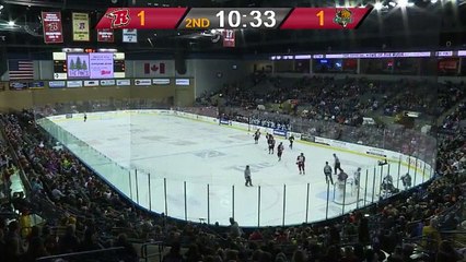ECHL Tulsa Oilers at Rapid City Rush