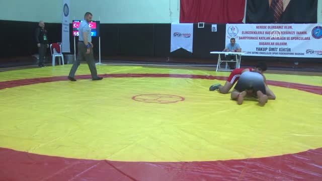 Türkiye İşitme Engelliler Güreş Şampiyonası