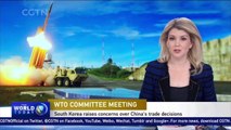 South Korea raises concerns to WTO over China trade amidst THAAD dispute