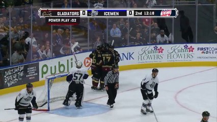 ECHL Greenville Swamp Rabbits at Jacksonville Icemen