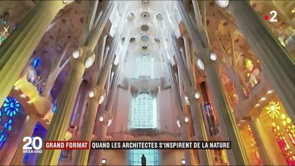 Grand format : quand la nature inspire les architectes