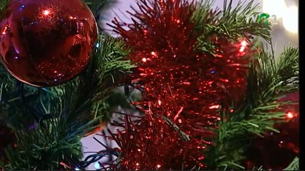 Reveca Salcianu - Iubii Balsul si Vartopul (Popasuri folclorice - TVR 3 - 06.01.2018)