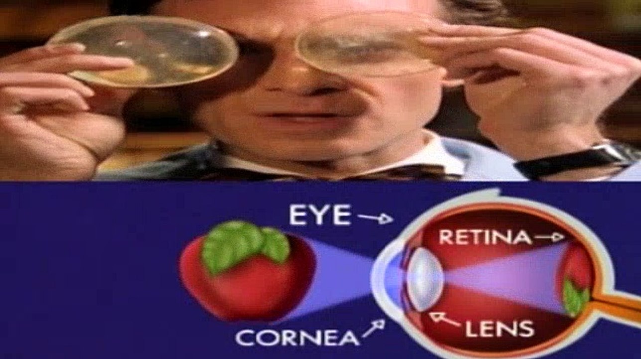 Bill Nye the Science Guy S01 E20 Eyeballs
