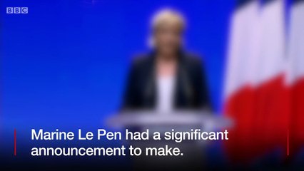 The former Trump adviser spoke at a National Front convention.