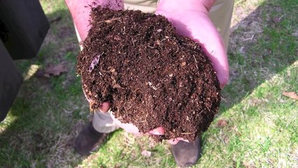 Top 5 Ways To Get Smarter