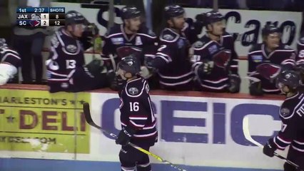 ECHL: Jacksonville Icemen 3 at South Carolina Stingrays 6 March 11