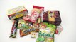 Japanese Freedom Market Monthly Subscription Box Candy & Snack Surprise Box Opening