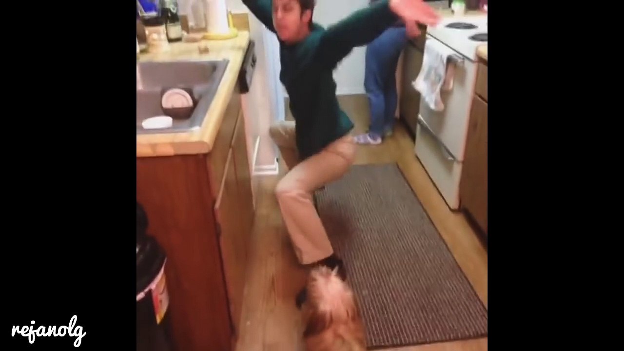 200 VINES Compilation and Smack Cam Epic Fail