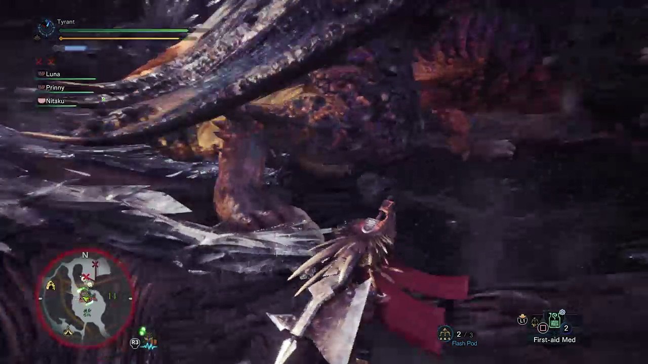 Goodbye Tail