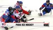 South Korea defeats Czech Republic in men's para ice hockey