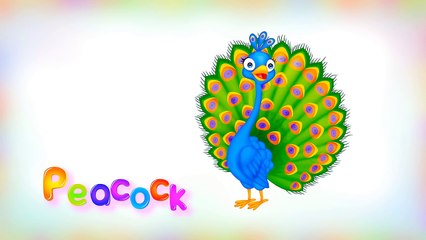 Animal Video Sounds for Kids. 77 animals for toddlers ( animals for baby, animals for kids )