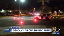 Person dies after car crashes into tree in Phoenix