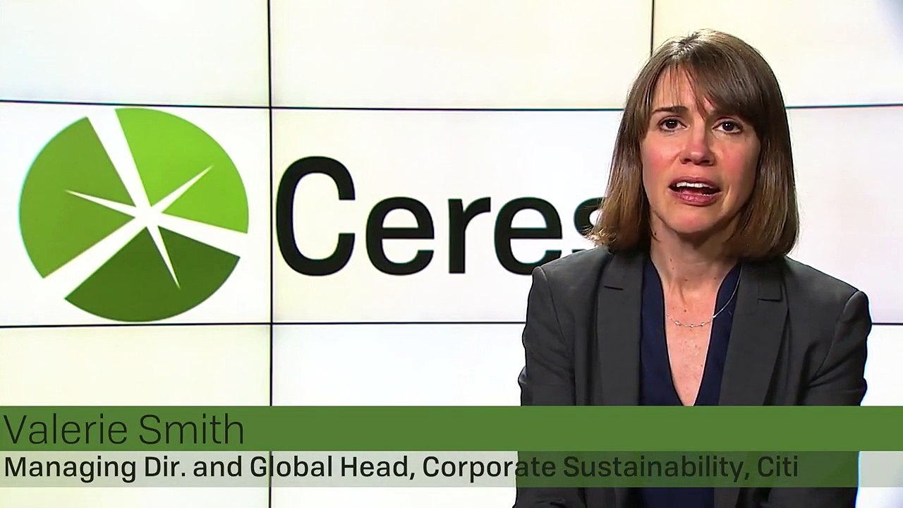Val Smith, Citi, Managing Director and Global Head, Corporate Sustainability