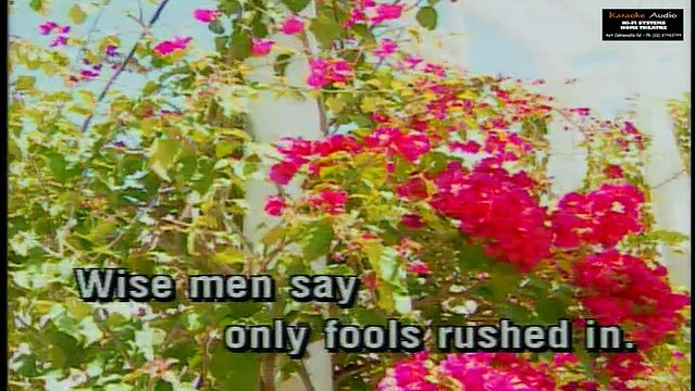 Cant Help Falling In Love - Nhạc Ngoại - Hoàng Nam