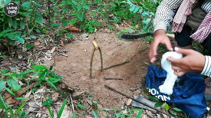 How To Make The Worlds Best and Easiest Bird Leg Snare Step By Step (Manual Living)