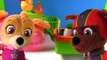 Paw Patrol Magical Color Change Vegetables and Fruit Fun Colors Names of Food