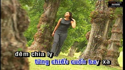 Chiếc Lá Cuối Củng - Huy Vũ