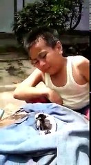 Perjuangan Seorang Bocah Cilik Agar Anak Ayam Kesayangannya Tetap Hidup