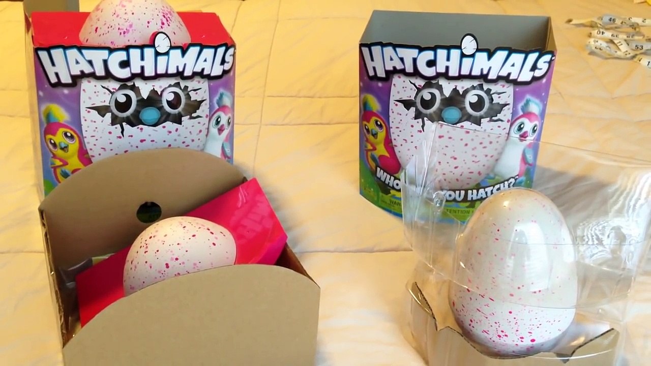 How To Tell Which Hatchimal Is Inside Your Egg Before Hatching!