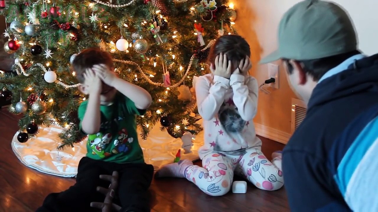 Christmas Puppy Surprise 2016 Compilation