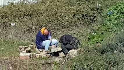 Tem Otoyolu kenarında yürek sızlatan Bonzai krizi