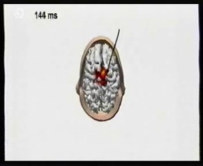 Cerebro y consciencia: El sueño (Conectividad funcional) Giulio Tononi, Teoria de la informacion integrada