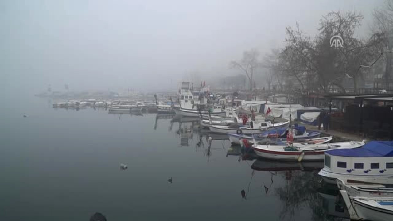Yoğun Sis