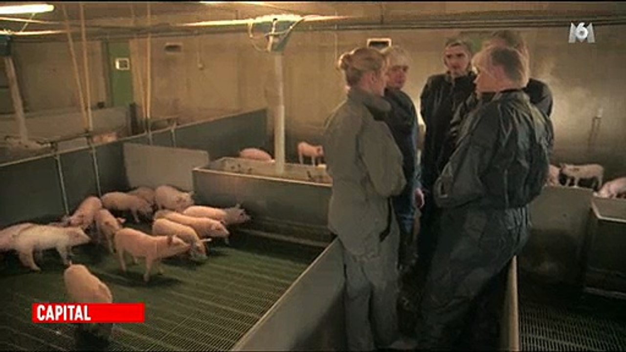 Rencontre avec des producteurs obligés de vendre à perte pour être "au prix du marché" - Regardez