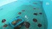ASEAN SCOOP: First hospital for sea turtles in Asia